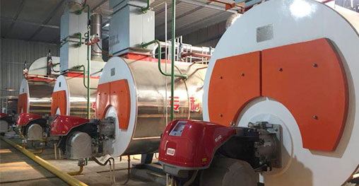 實力雄厚，人才輩出